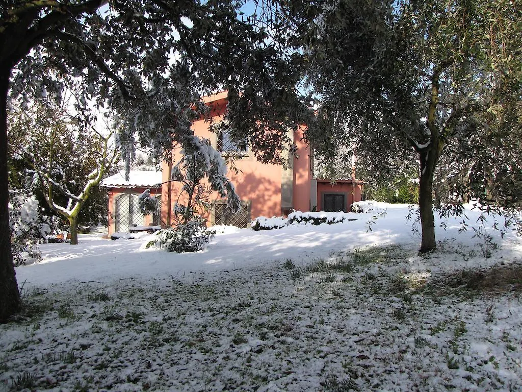 Bed and Breakfast B&B Ai Glicini - Castelli Romani Marino Ιταλία