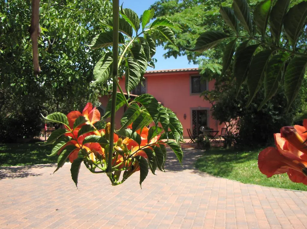 Bed and Breakfast B&B Ai Glicini - Castelli Romani Marino