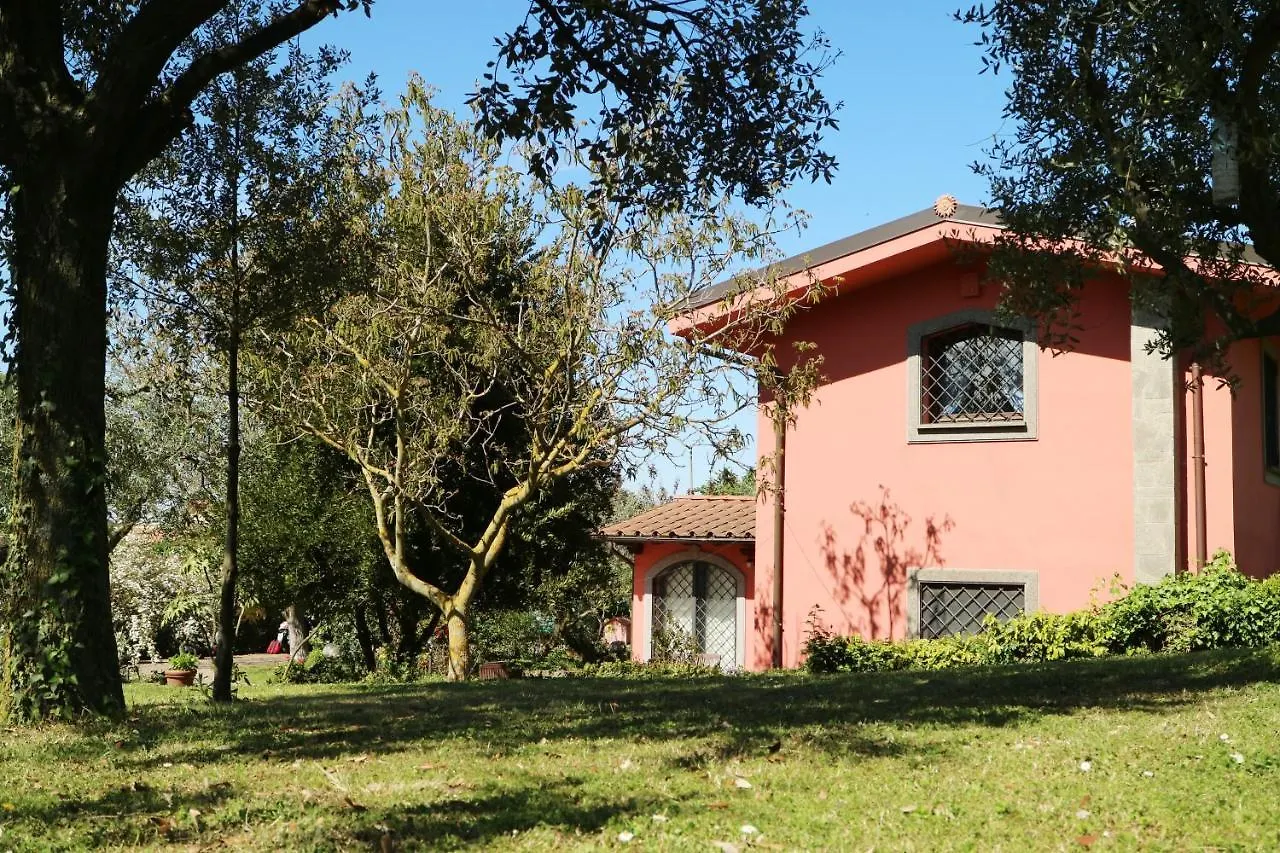 B&B Ai Glicini - Castelli Romani Marino 0*,  Italy
