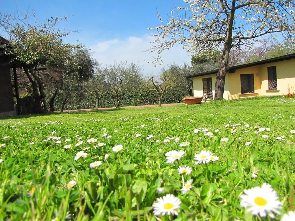B&B Ai Glicini - Castelli Romani Marino Bed & Breakfast