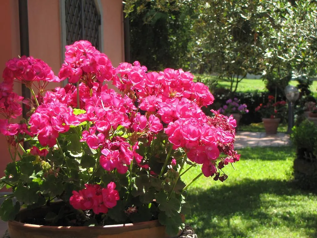 B&B Ai Glicini - Castelli Romani Marino Bed & Breakfast