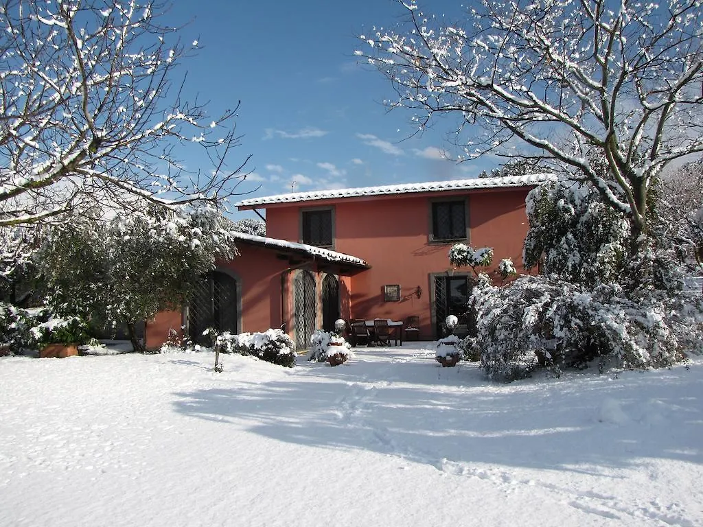 B&B Ai Glicini - Castelli Romani Marino